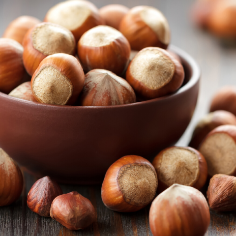 Giresun Fındığı Fidanı Fındık