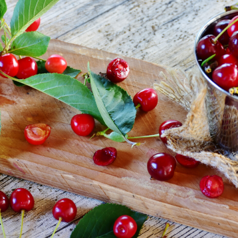 Kütahya Vişne Fidanı