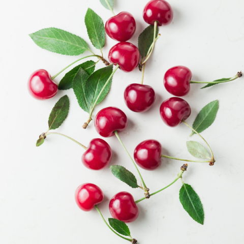 Kütahya Vişne Fidanı