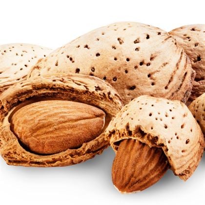 Badem Fidanı  İri Kaliteli Amygdalus Communis