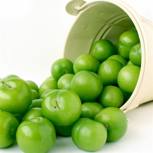 Papaz Eriği Erik Fidanı  Prunus Donestica