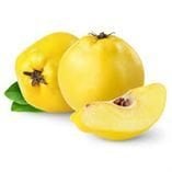 Ekmek Ayvası Fidanı  Çok Sulu  Cydonia Oblonga