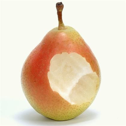 Etruşka Armut Fidanı