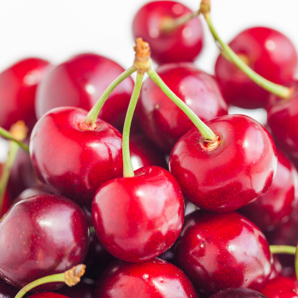 Regina Kiraz Fidanı