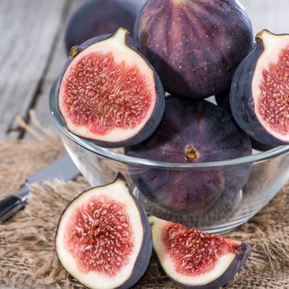 Bursa Karası İncir Fidanı Bursa Siyahı İncir Sertifikalı