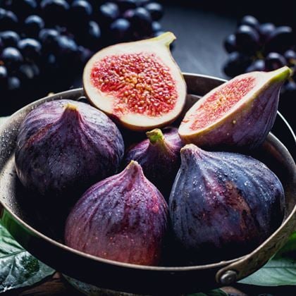 Bursa Karası İncir Fidanı Bursa Siyahı İncir Sertifikalı