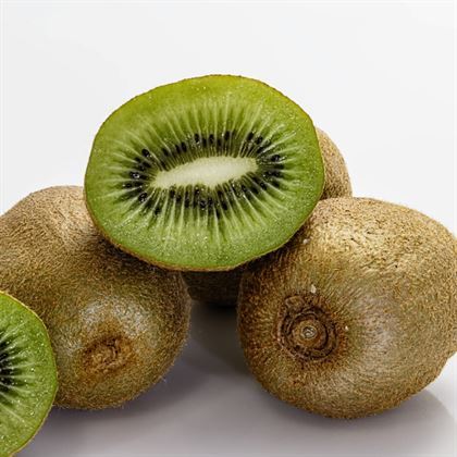 Aşılı Kivi Fidanı