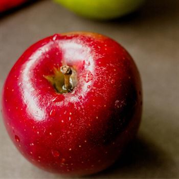 Early Red One Elma Fidanı