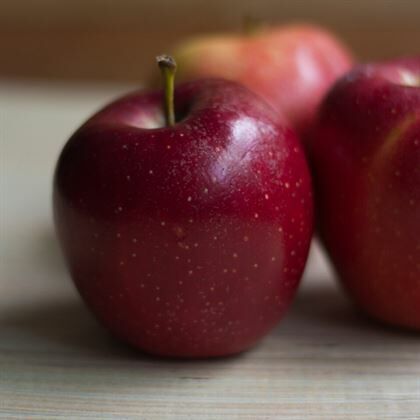 Williams Pride Elma Fidanı