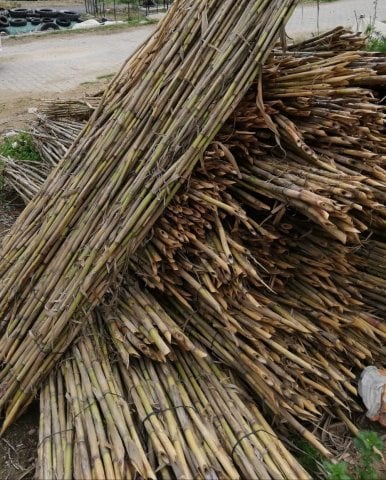 Kuru Kargı Kamışı Çiçek Sopası 1 metre 10 adet