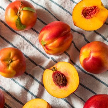 Venüs Nektarin Fidanı