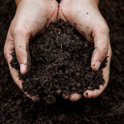 Torf Çiçek Bahçe Toprağı Bitki Coşturan 3 lt Toprak