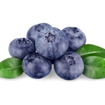 Blue Gold Yaban Mersini Fidanı 15 cm Likapa