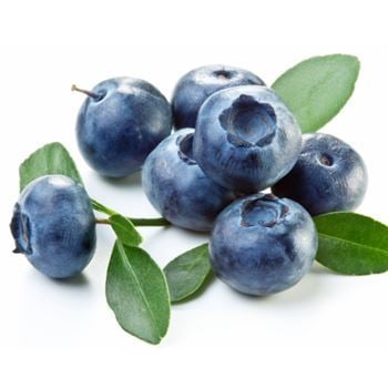 Sharp Blue Yaban Mersini 15 cm Likapa Maviyemiş