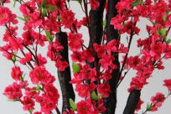 Süs Şeftalisi Fidanı  Prunus Persica