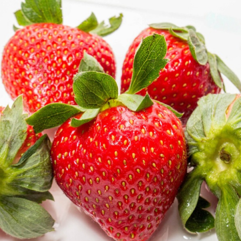 Albion Çilek Fidesi 10 adet