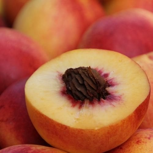 Bursa Yarma Şeftali Fidanı