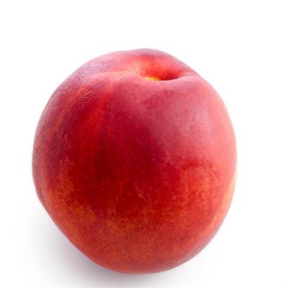 Royal Gem Şeftali Fidanı