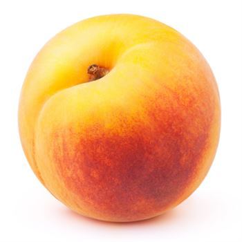 Elegant Lady Şeftali Fidanı