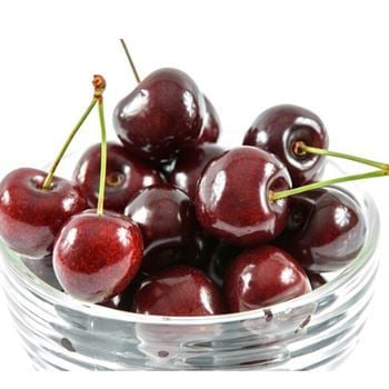 İri Bing Kiraz Fidanı