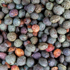 Menengiç Çitlenbik Fidanı 30 cm Pistacia terebinthus