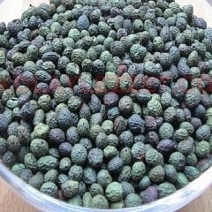 Menengiç Çitlenbik Fidanı 30 cm Pistacia terebinthus