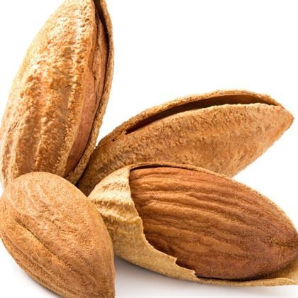 Niltinski Badem Fidanı Prunus Dulcis