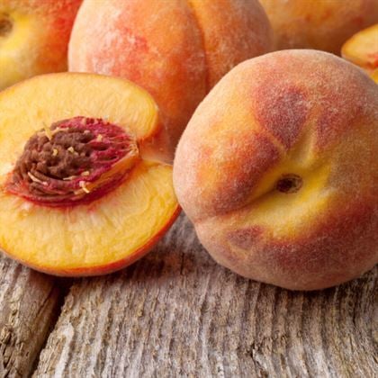 Red Haven Şeftali Fidanı