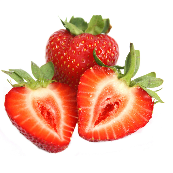 Aromas Çilek Fidesi 10 Adet