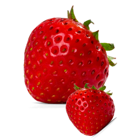 Aromas Çilek Fidesi 10 Adet