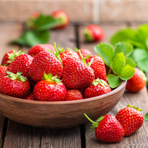 Calgiant Çilek Fidesi 10 Adet