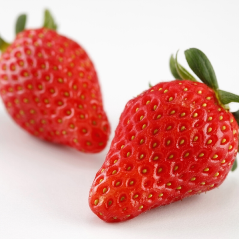 Camarosa Çilek Fidesi 10 Adet