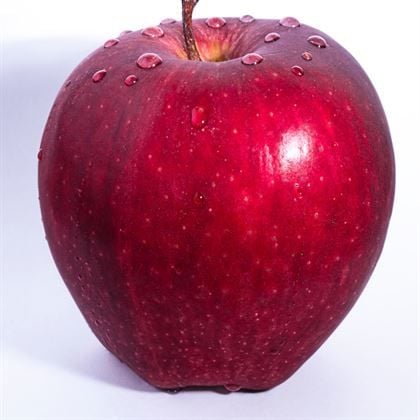 Scarlet Spur Elma Fidanı