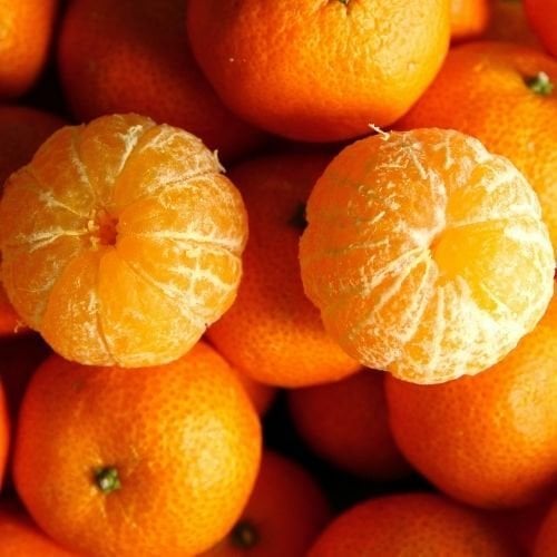 Bodrum Mandalini Citrus reticulata Klementin Clementina