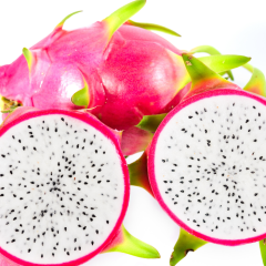 Ejder Meyvesi Fidanı Pitaya  Hylocereus