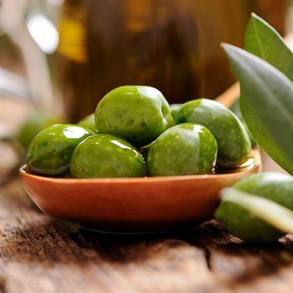 Sarı Ulak Zeytin Fidanı Olea europaea