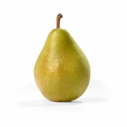 Santa Maria Armut Fidanı