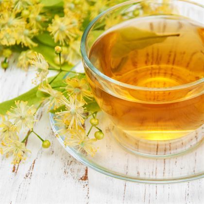 Ihlamur Ağacı Fidanı