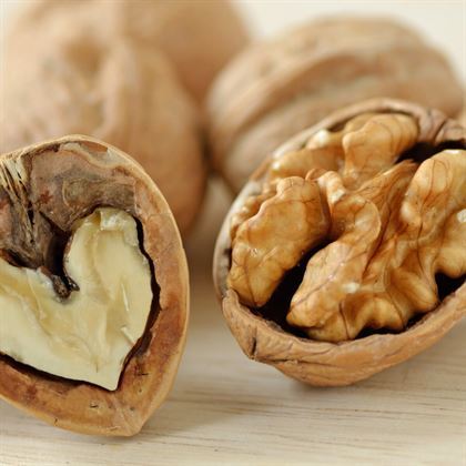 Yalova 4 Ceviz Fidanı