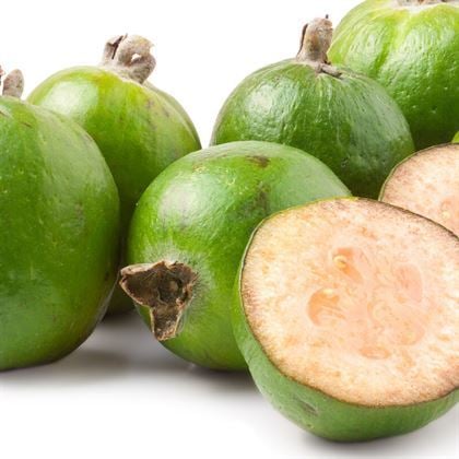 Kaymak Ağacı Fidanı