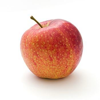 Pink Lady Elma Fidanı